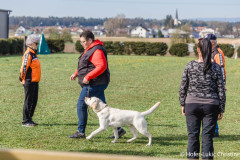 20250405Samstag_SVOE-2025-140