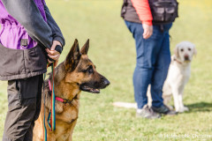 20250405Samstag_SVOE-2025-167