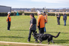 20250405Samstag_SVOE-2025-224