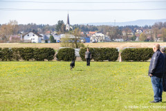 20250405Samstag_SVOE-2025-229