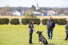 20250405Samstag_SVOE-2025-232