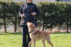 20250405Samstag_SVOE-2025-288