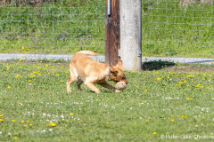 20250405Samstag_SVOE-2025-327