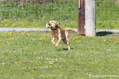 20250405Samstag_SVOE-2025-328
