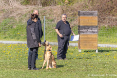 20250405Samstag_SVOE-2025-335