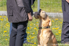 20250405Samstag_SVOE-2025-336
