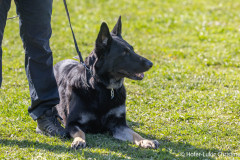 20250405Samstag_SVOE-2025-370