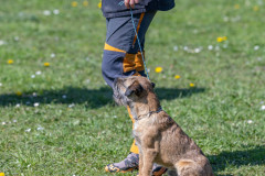 20250405Samstag_SVOE-2025-387