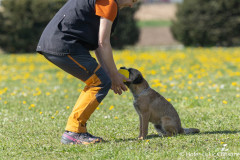 20250405Samstag_SVOE-2025-409
