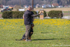 20250405Samstag_SVOE-2025-423