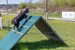 20250405Samstag_SVOE-2025-459
