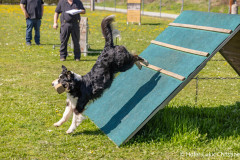 20250405Samstag_SVOE-2025-466