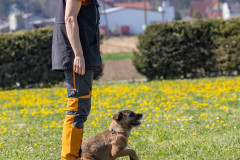 20250405Samstag_SVOE-2025-507