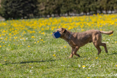 20250405Samstag_SVOE-2025-511