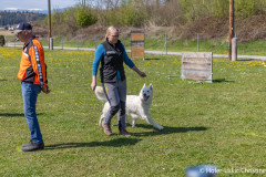 20250405Samstag_SVOE-2025-535