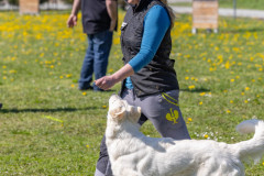 20250405Samstag_SVOE-2025-538