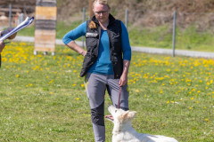 20250405Samstag_SVOE-2025-551