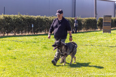 20250405Samstag_SVOE-2025-583-Kopie