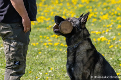 20250405Samstag_SVOE-2025-605-Kopie