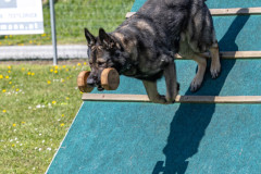 20250405Samstag_SVOE-2025-611-Kopie
