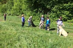 13266059_1049468528479393_5941747310243178014_n