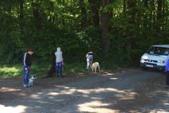 13310625_1049468561812723_1765068364649752153_n