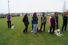 8b330af3-d7e8-4069-9c03-4164ac94ed25