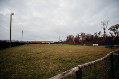 SVOE_hundeschule_wundschuh_-27